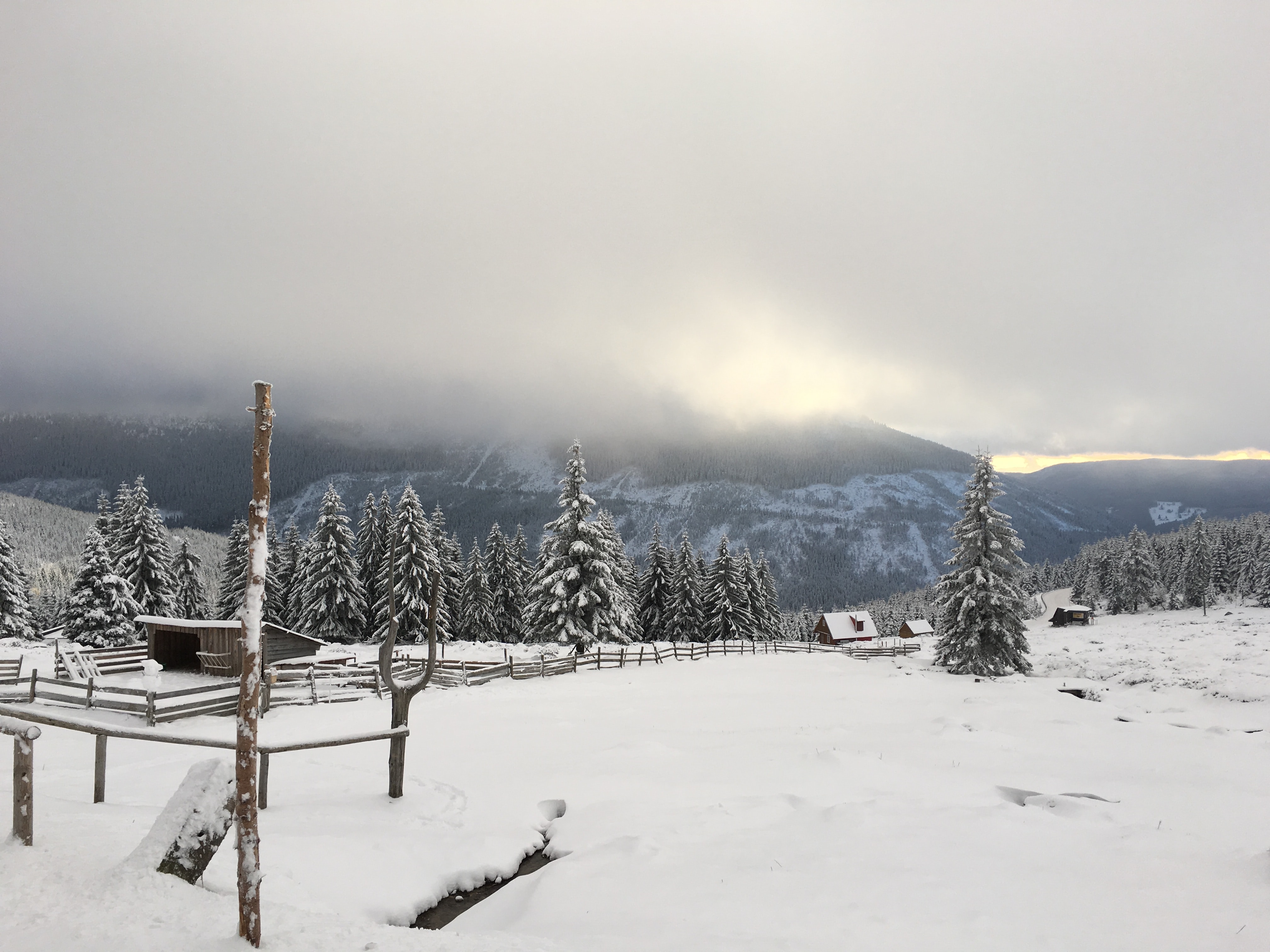 Foto van Špindlerův Mlýn - Medvědín
